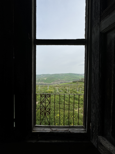 Image No.35-Villa / Detached for sale