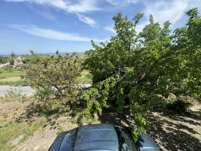 Image No.24-3 Bed Country House for sale