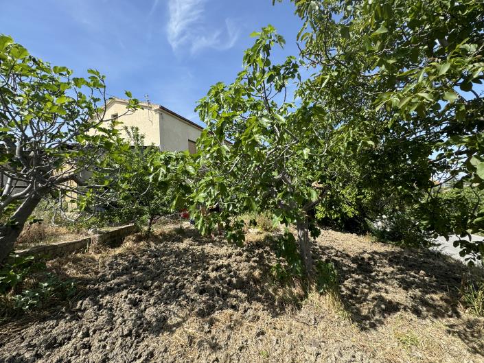 Image No.42-3 Bed Country House for sale