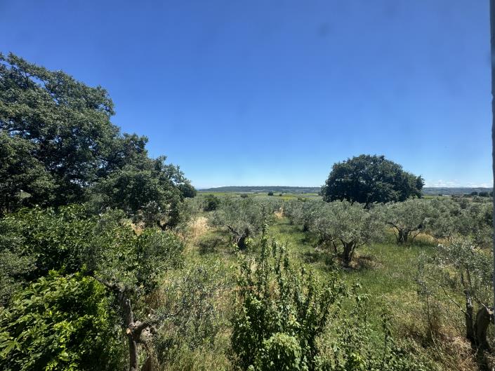 Image No.17-Farmhouse for sale