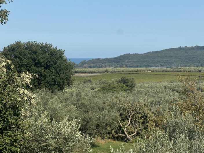 Image No.18-Farmhouse for sale