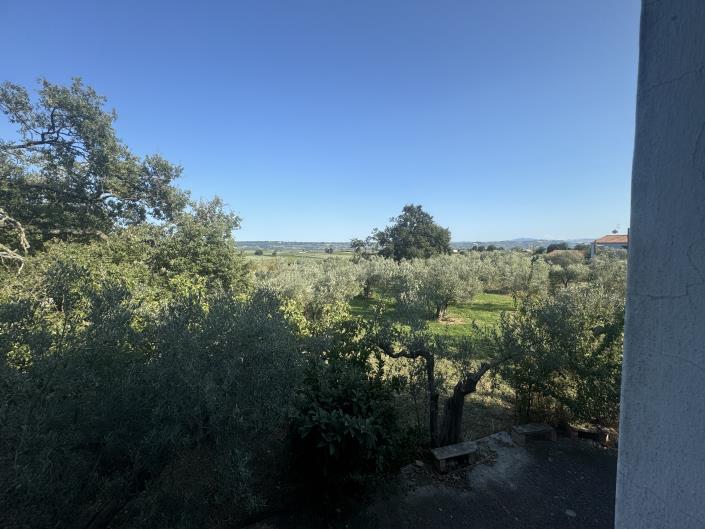 Image No.34-Farmhouse for sale