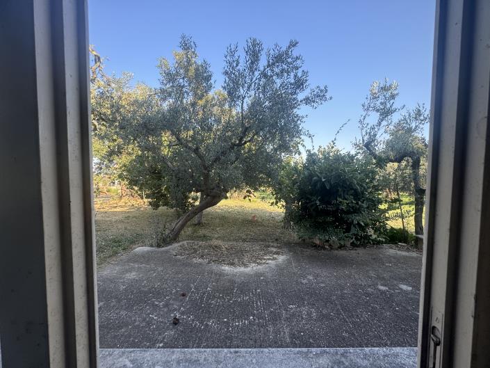 Image No.32-Farmhouse for sale