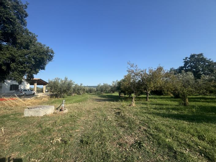 Image No.37-Farmhouse for sale