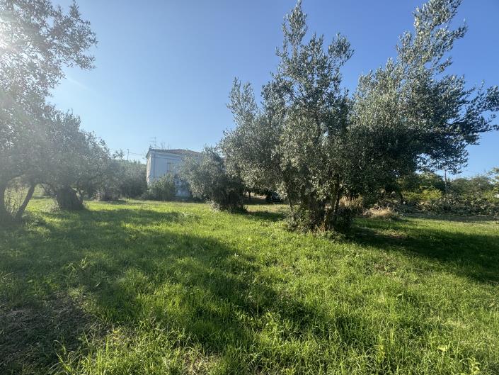 Image No.38-Farmhouse for sale