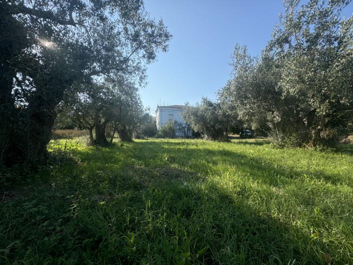 Image No.2-Farmhouse for sale