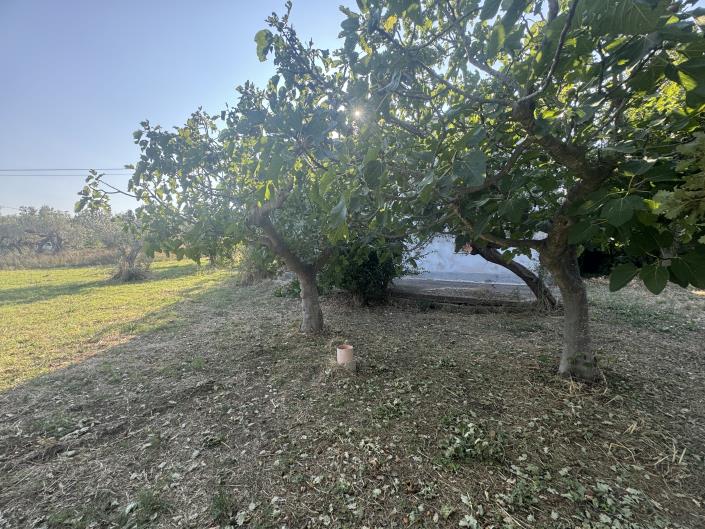 Image No.44-Farmhouse for sale