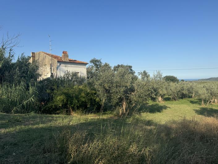 Image No.48-Farmhouse for sale