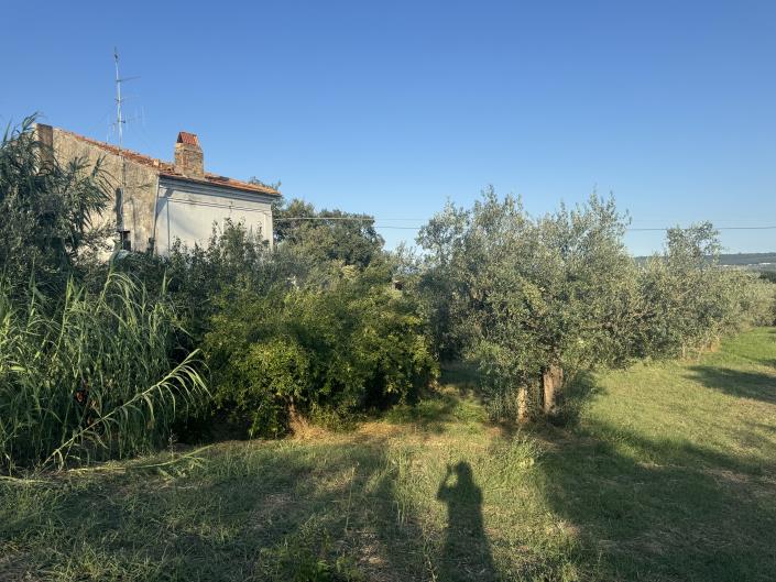 Image No.47-Farmhouse for sale