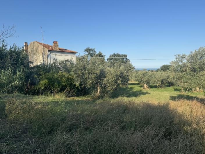 Image No.49-Farmhouse for sale