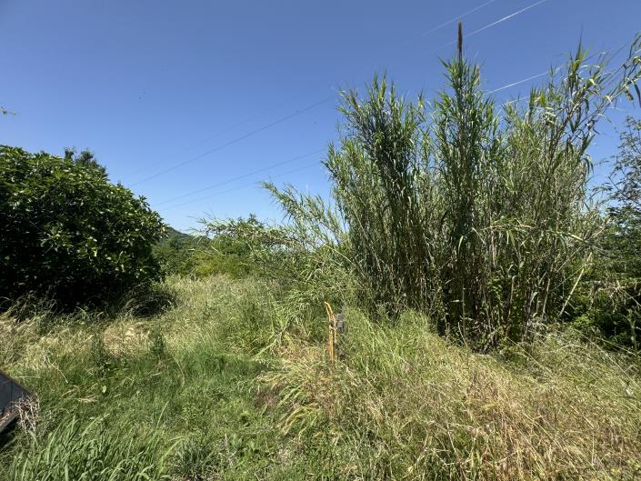 Image No.50-3 Bed Villa / Detached for sale