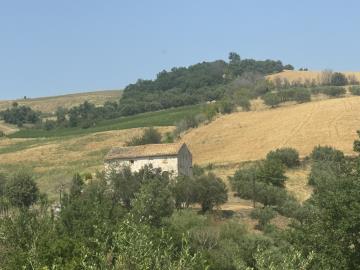 IMG_4922