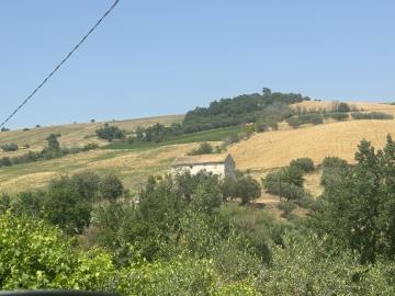 IMG_4923
