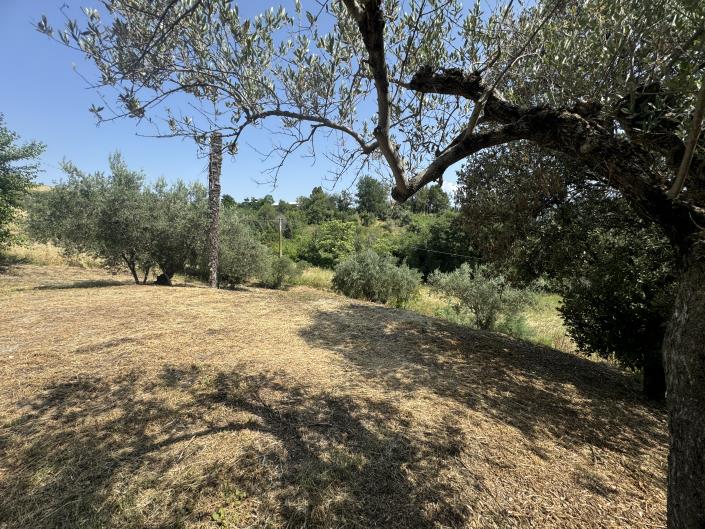 Image No.40-2 Bed Semi-Detached for sale