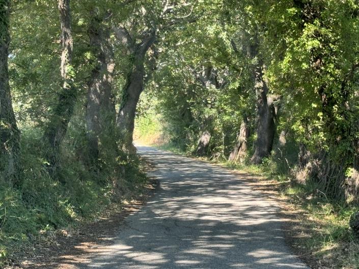 Image No.6-3 Bed Villa / Detached for sale