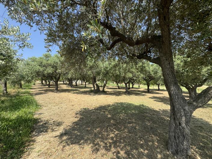 Image No.53-3 Bed Villa / Detached for sale