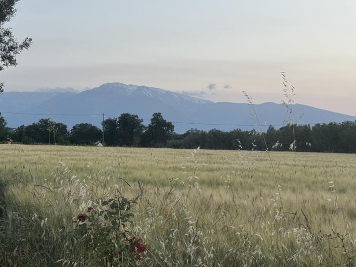 Image No.59-6 Bed Villa / Detached for sale