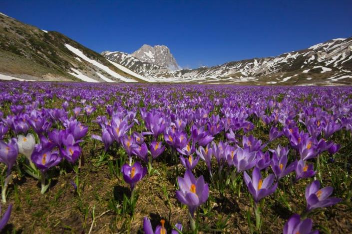 Image No.49-2 Bed Village House for sale