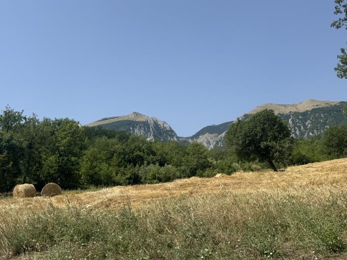 Image No.29-1 Bed Bungalow for sale