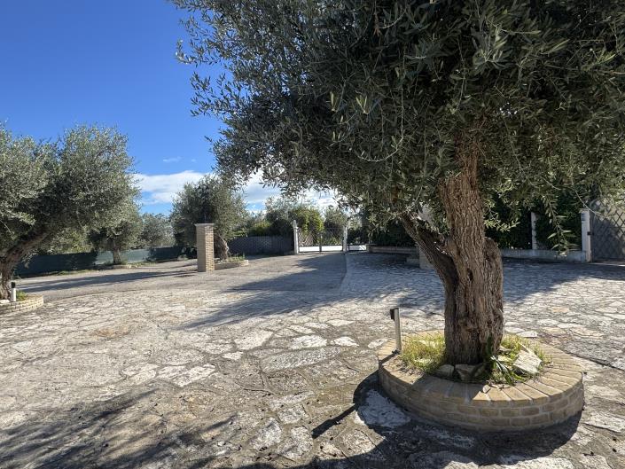 Image No.4-2 Bed House for sale