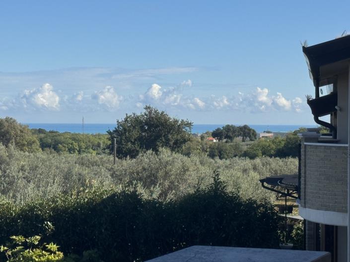 Image No.21-2 Bed House for sale