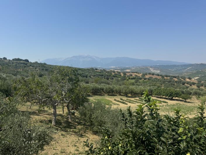 Image No.5-Apartment for sale