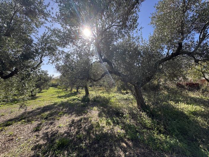 Image No.44-2 Bed Farmhouse for sale