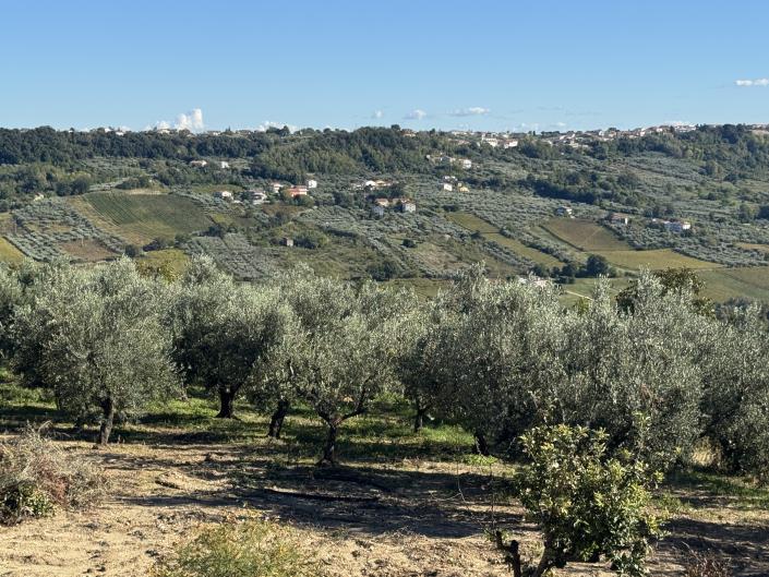 Image No.8-Villa / Detached for sale