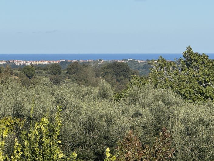 Image No.15-Villa / Detached for sale