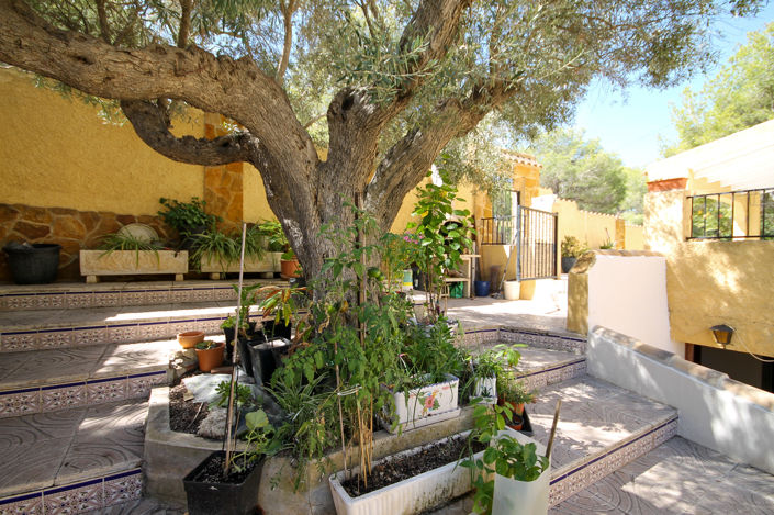 Image No.36-5 Bed Villa for sale