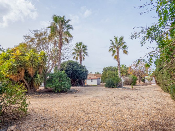 Image No.32-4 Bed Finca for sale