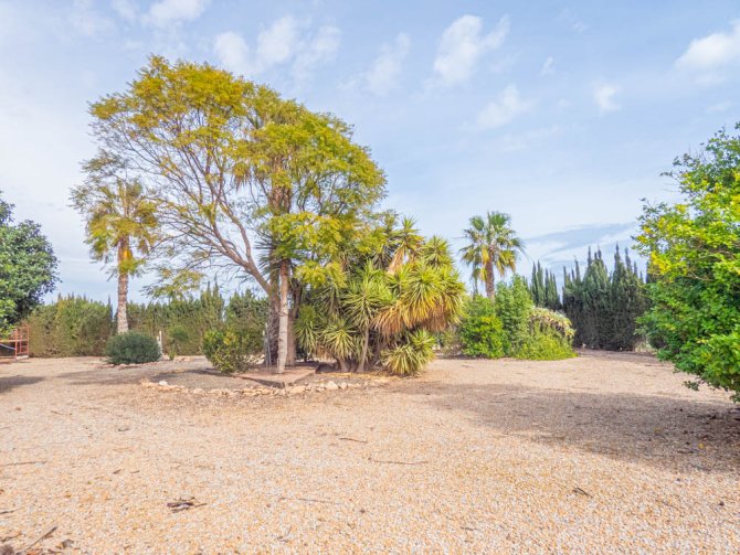 Image No.33-4 Bed Finca for sale