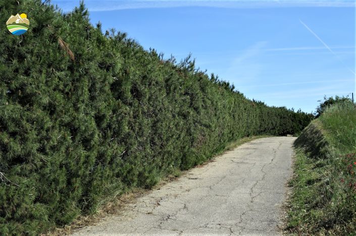 Image No.27-4 Bed Villa for sale