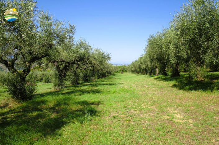 Image No.21-3 Bed Country House for sale