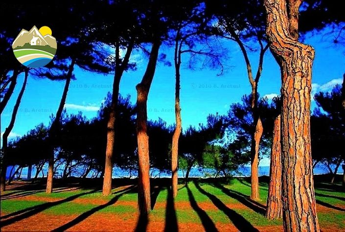 Image No.20-Land for sale