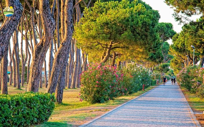 Image No.22-Land for sale