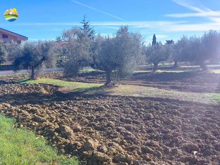 Image No.9-Land for sale