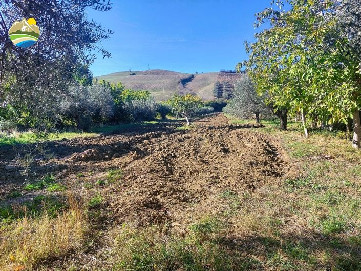 Image No.10-Land for sale