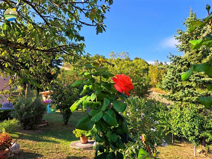 Image No.17-2 Bed Country House for sale