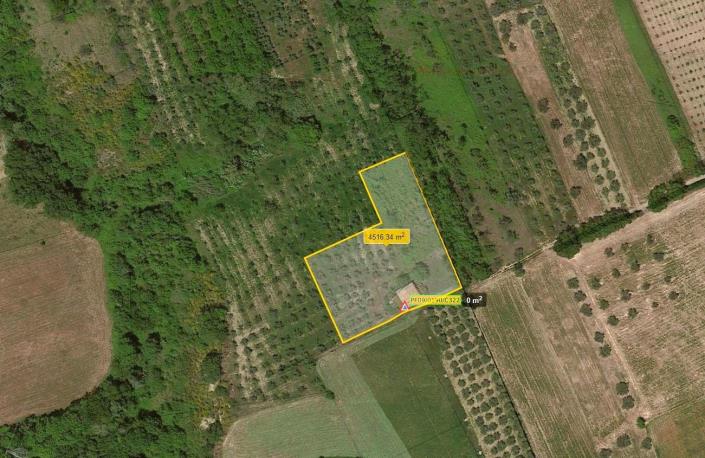 Image No.15-4 Bed Country House for sale