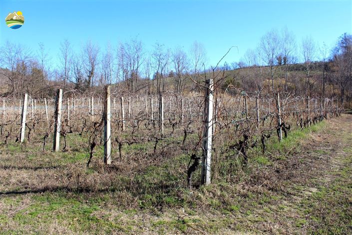 Image No.25-2 Bed Country House for sale