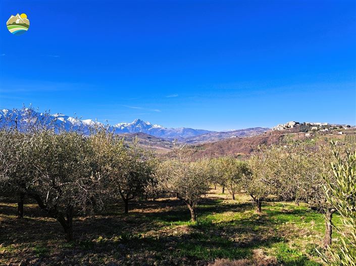 Image No.12-1 Bed Country House for sale