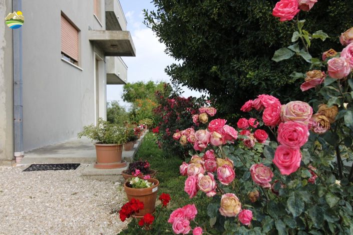 Image No.3-6 Bed Country House for sale