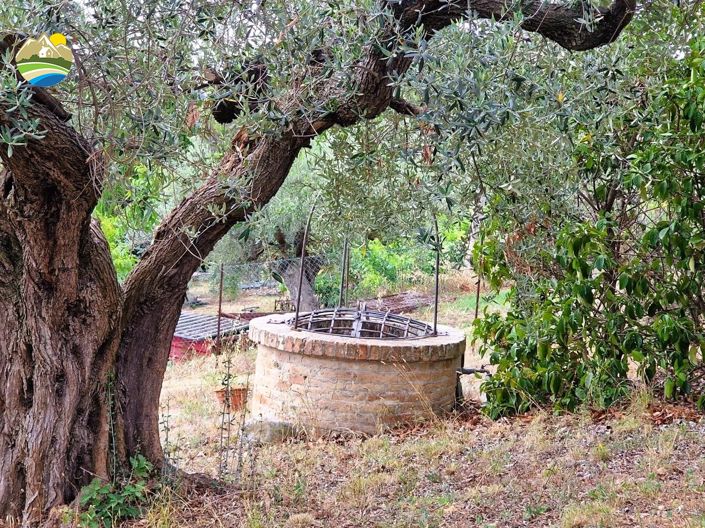 Image No.18-3 Bed Country House for sale