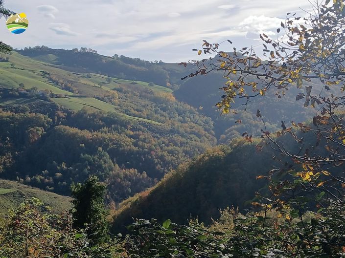 Image No.4-4 Bed Country House for sale