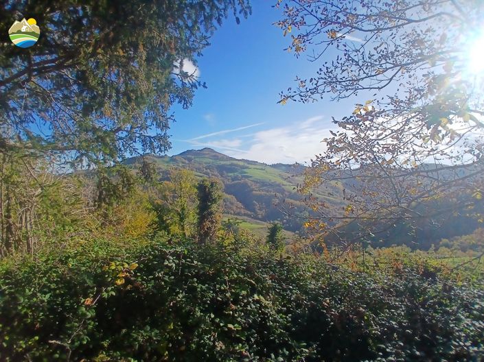 Image No.40-4 Bed Country House for sale