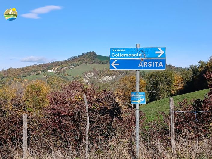 Image No.46-4 Bed Country House for sale