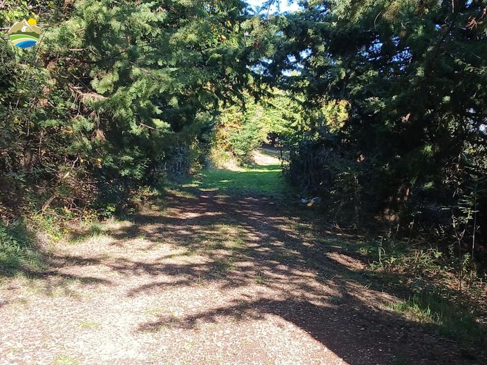 Image No.6-4 Bed Country House for sale