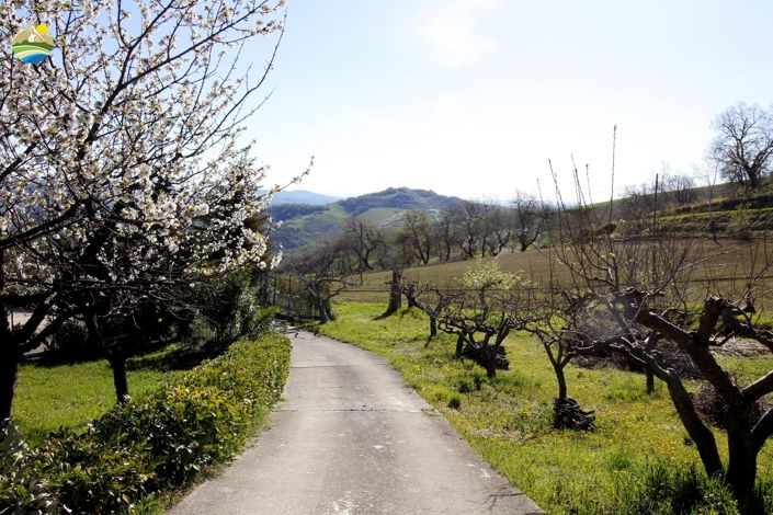 Image No.5-2 Bed Country House for sale