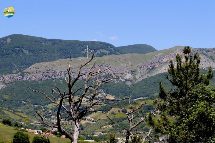 Image No.39-4 Bed Country House for sale